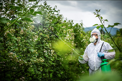如何選擇有效的消毒方法？